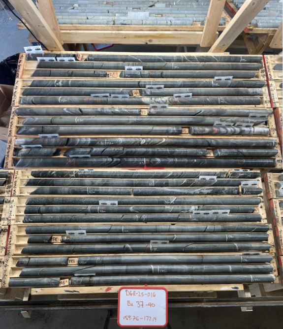 Shear Dgr 25 016
